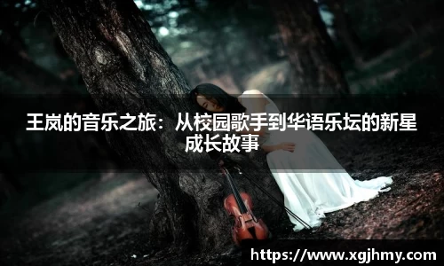 王岚的音乐之旅：从校园歌手到华语乐坛的新星成长故事